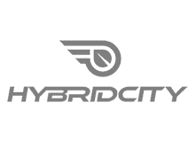 Hybridcity